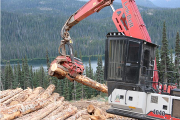 Timber Loading and Hauling - WFP